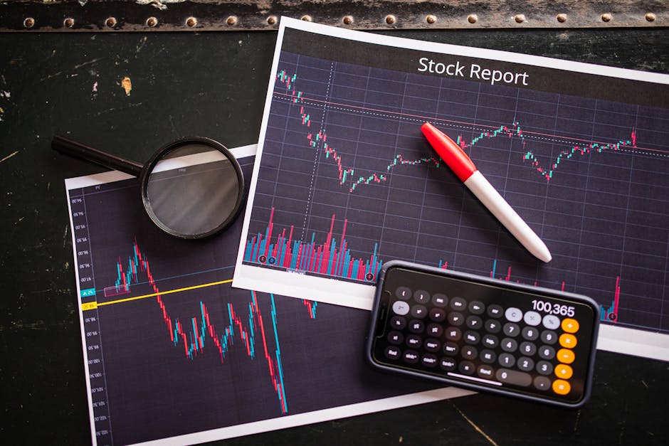 Velos Markets威马证券：多元化交易平台解析