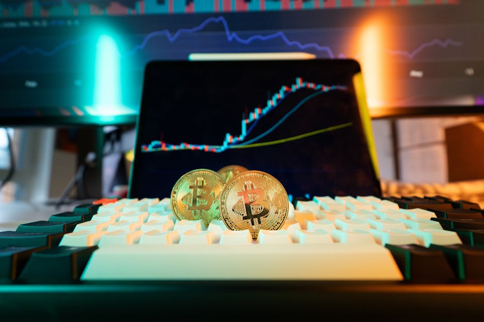 Velos Markets威马证券：全球化交易平台全解析